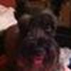 Diane Ruth avatar