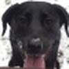 Margaret Doty Hensley avatar
