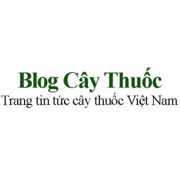 Blog Caythuoc's avatar