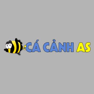 Cá Cảnh As's avatar