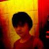 Maximilian Gamper avatar