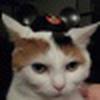 Summerlea Rimmer avatar