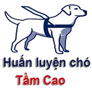 Trung Duc's avatar
