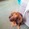 Tsz Ying Cathy Chan avatar