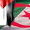 خالد طاهر avatar
