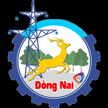 Đồng Nai Tv's avatar