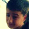 David Anavi avatar