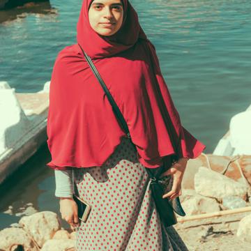 Ms. Alaa Eladle's avatar
