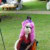 Jackie Hardin avatar