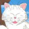 Mael Landrin avatar