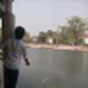 Punnaditto Tr avatar