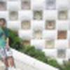 Tomer Aman avatar