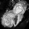 Henriette Maj Odby avatar