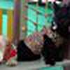 Ana Robledo avatar