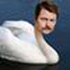 Quintijn Monteban avatar