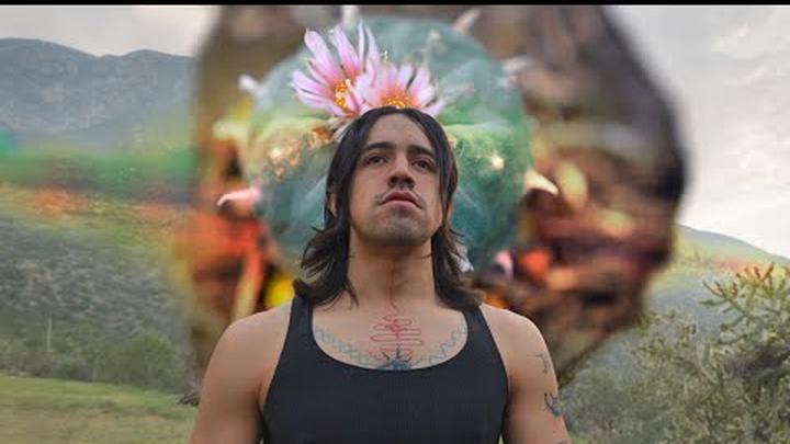 MI EXPERIENCIA COMIENDO PEYOTE