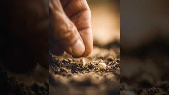 How to Awaken Your Soul: Planting the Seed of Spiritual Growth