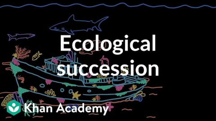 Ecological succession | Middle school biology | Khan Academy