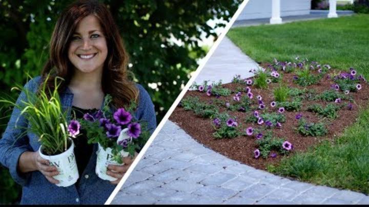 Tips for Planting Annuals in the Ground // Garden Answer Tips for Planting Annuals in the Ground // Garden Answer