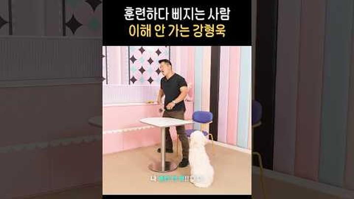 그럼 훈련은 누가 해요..