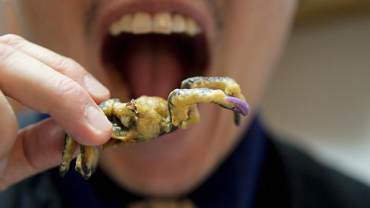 Brooklyn Bugs: Evolving Our Taste for Edible Insects Brooklyn Bugs: Evolving Our Taste for Edible Insects