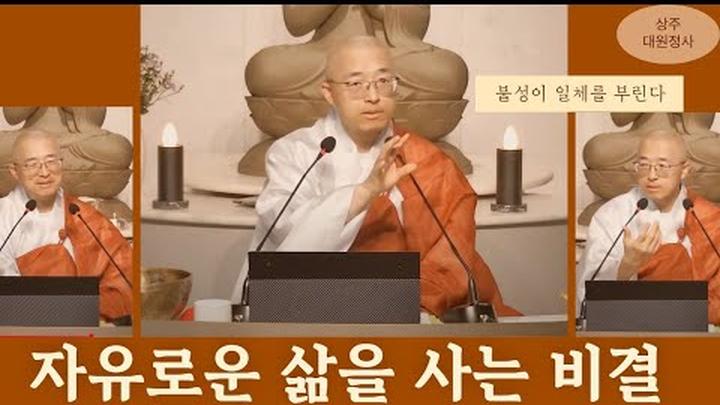 [125] 자유로운 삶을 사는 비결, 편재하는 불성이 일체를 부린다, 무위의 유익함 #도덕경43장