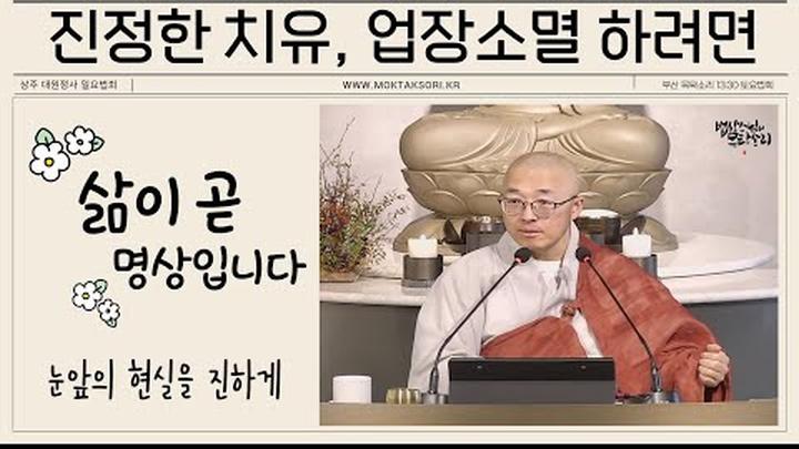 진정한 치유는? 진정한 업장소멸은? 눈앞의 현재를 진하게 살아내려면. 삶이라는 명상.