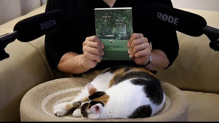 ASMR.몽실언니 짝꿍이 들려주는 '행복할거야 이래도 되나 싶을 정도로' | 몽디오북� | 구독자 이벤트