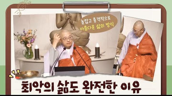 [137] 최악의 삶도 완전한 이유, 이토록 삶이 충격적 아름다움이라니! 가차없는 삶의 방식