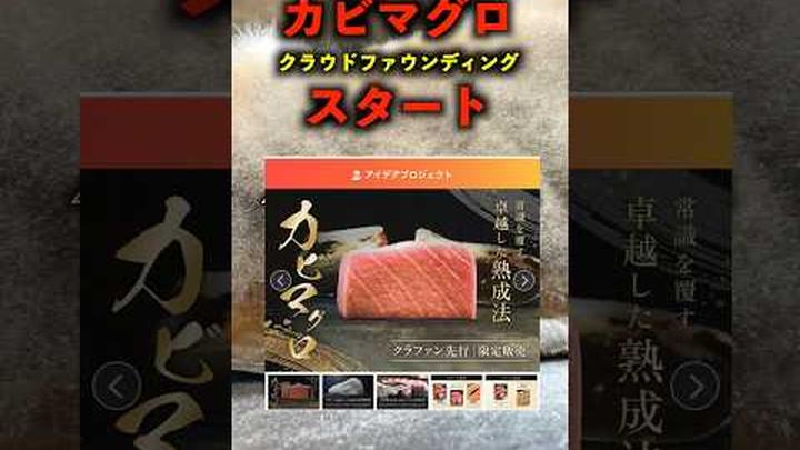 カビマグロクラファン告知