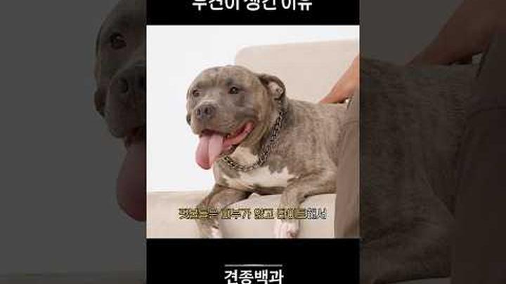 인간이 미안해