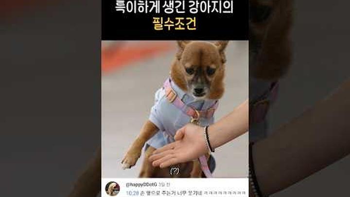 선생님 쌀알 하나 나와있어요