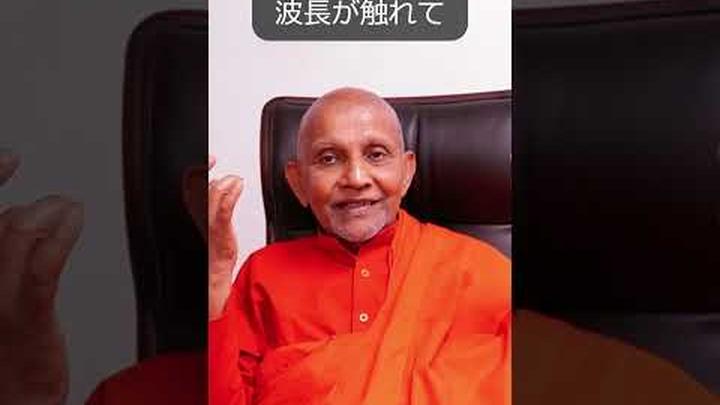 現象化の罠を破って解脱に達する #スマナサーラ長老 #初期仏教 #ヴィパッサナー瞑想 #jtba