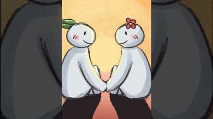 What is the Similarity-Attraction Effect?