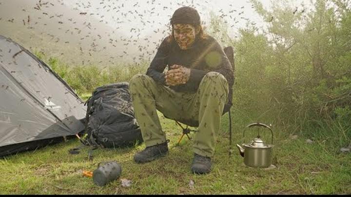 UN CAMPAMENTO RARO: hormigas, té de pascual y desamor