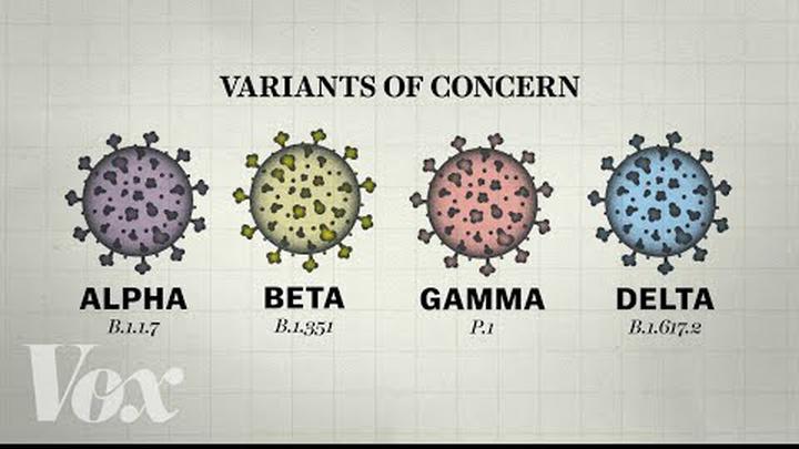 Why so many Covid-19 variants are showing up now