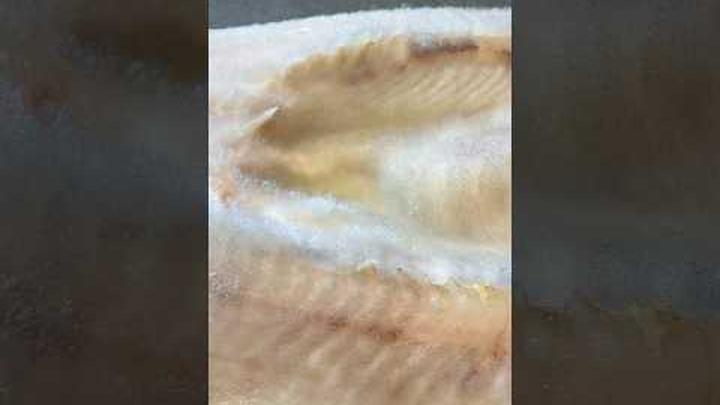 カビ熟成アイナメ