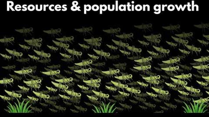 Resources and population growth | Middle school Biology | Khan Academy