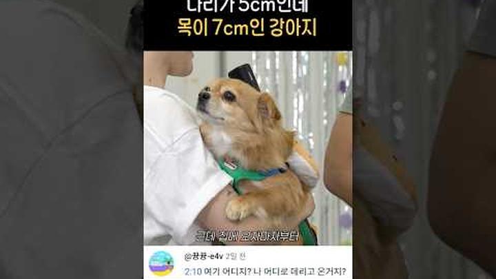 아 김쫀득박사 풀네임 너무 귀엽다