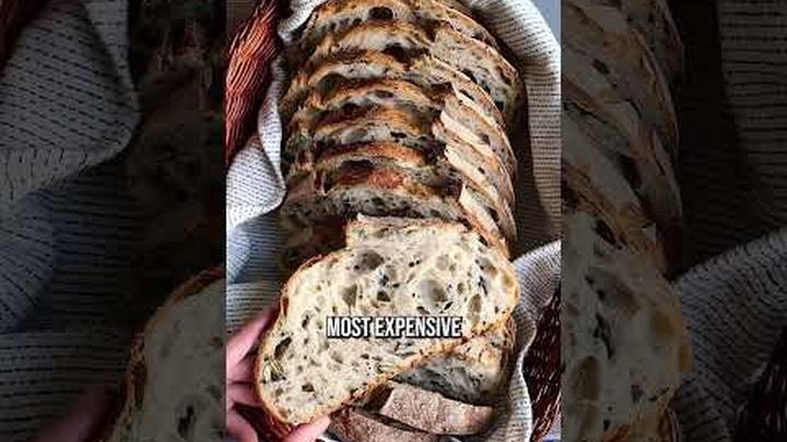 "What Should I Eat On The Carnivore Diet?"