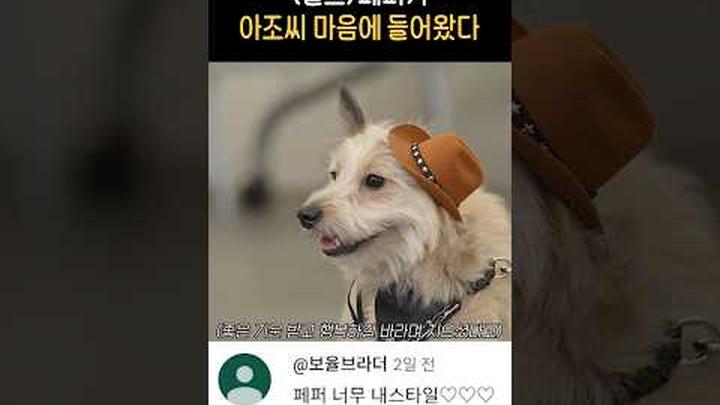 강형욱 아저씨 취향저격
