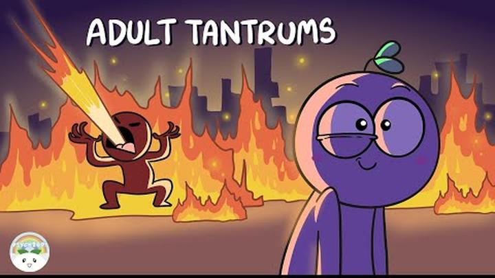 5 Signs of Adult Tantrums And Why It Happens